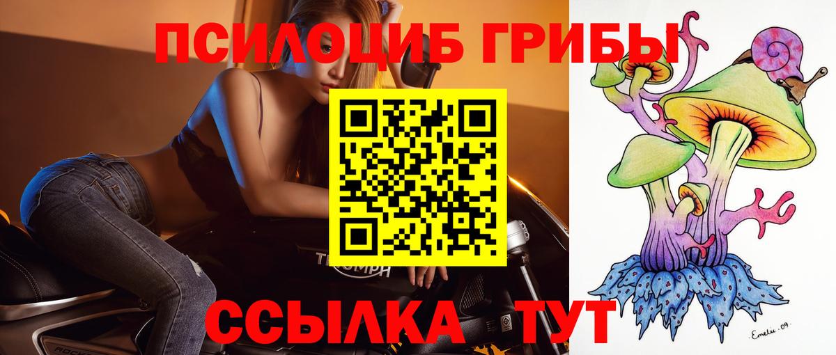 Галлюциногенные грибы мухоморы Бугуруслан