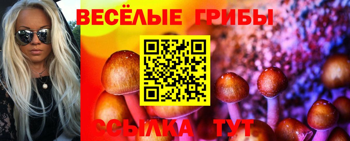 как найти закладки  Псилоцибиновые грибы мицелий  Вход с VPN  Бугуруслан 